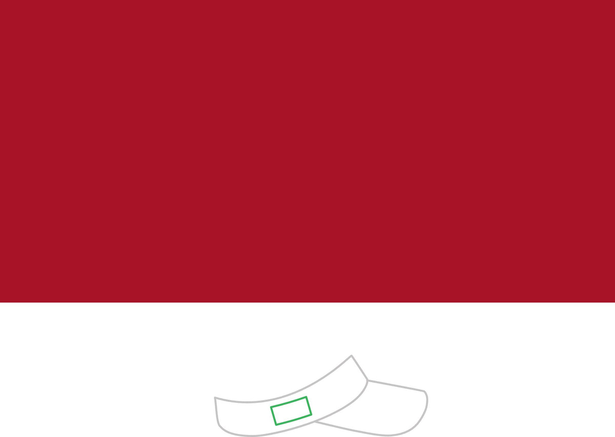 Dry Zone Colorblock Visor