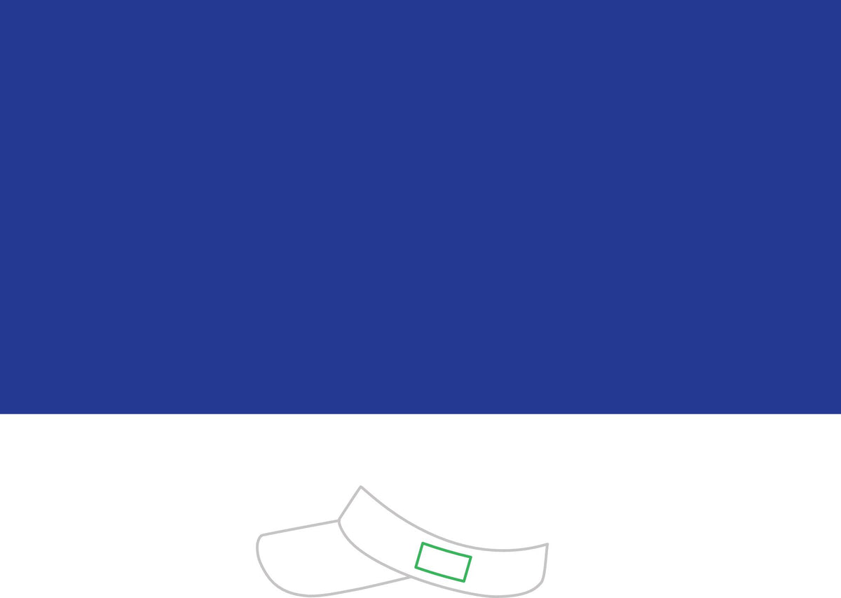 Dry Zone Colorblock Visor