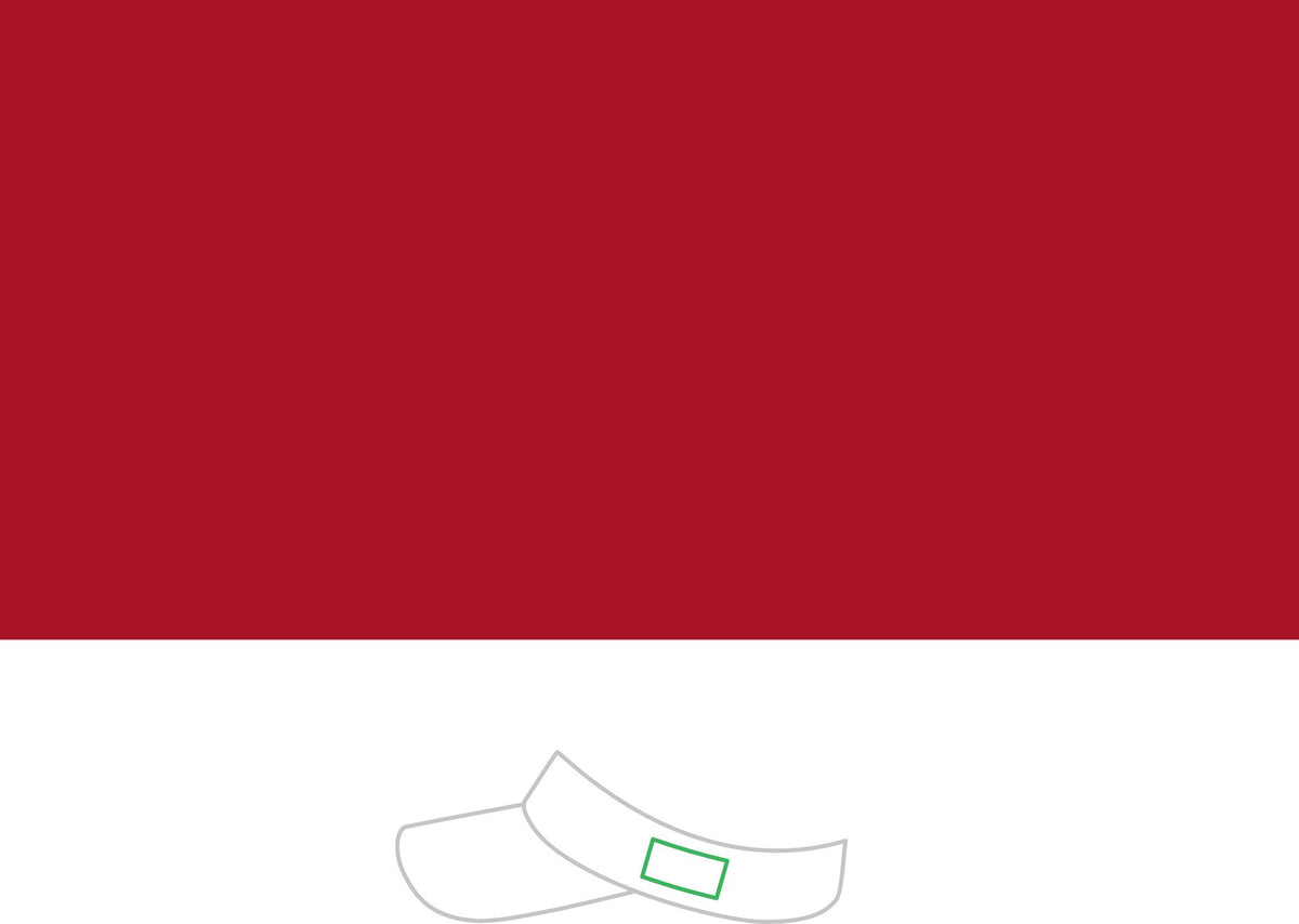 Dry Zone Colorblock Visor